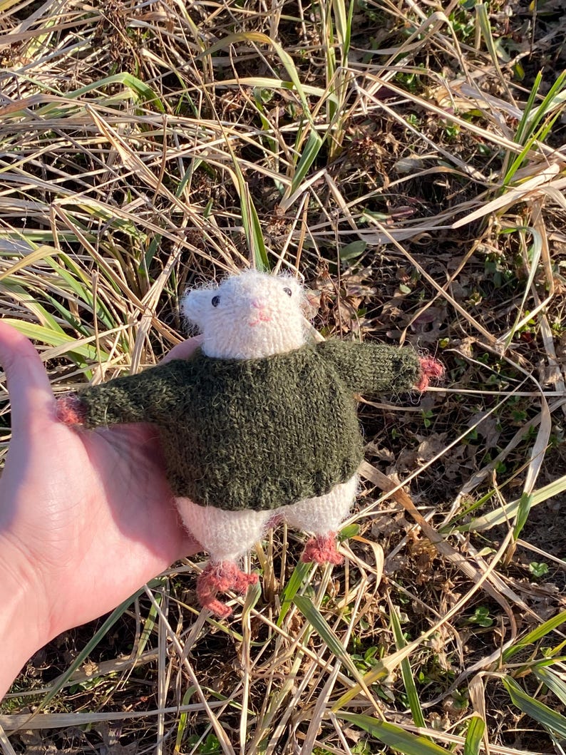 Small chonky toy plushie rat in a sweater Knitting Pattern