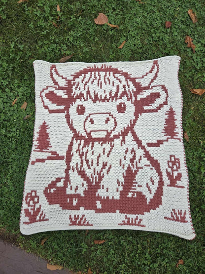 Overlay Mosaic Baby Blanket Crochet Pattern