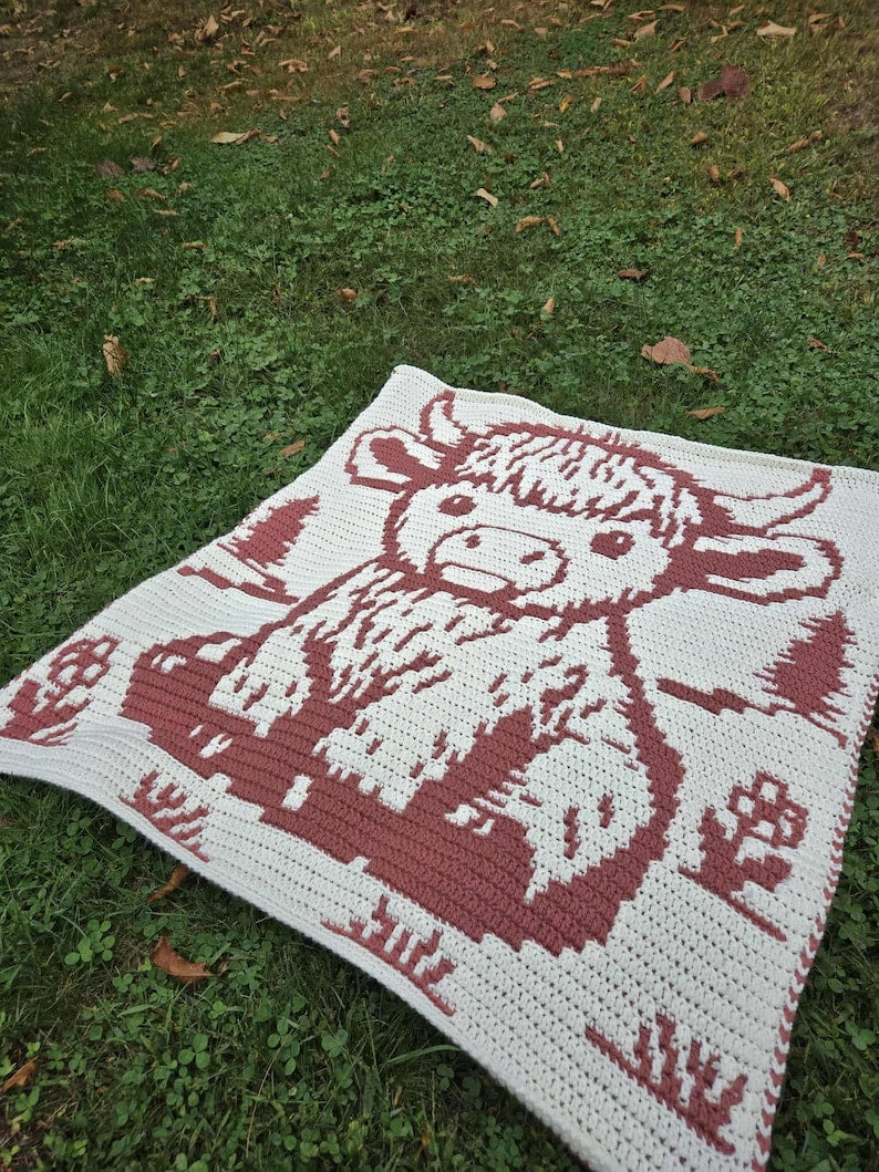 Overlay Mosaic Baby Blanket Crochet Pattern