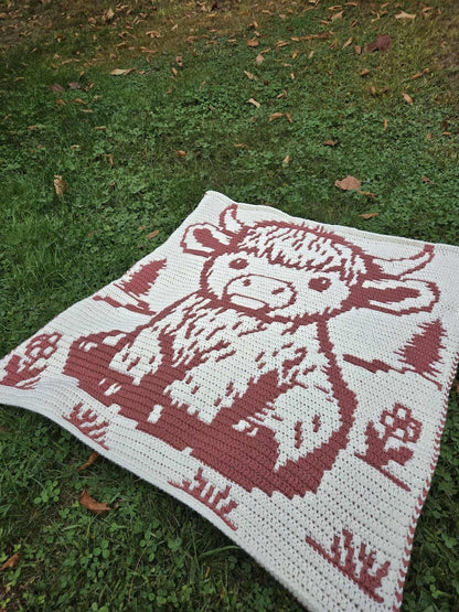 Overlay Mosaic Baby Blanket Crochet Pattern