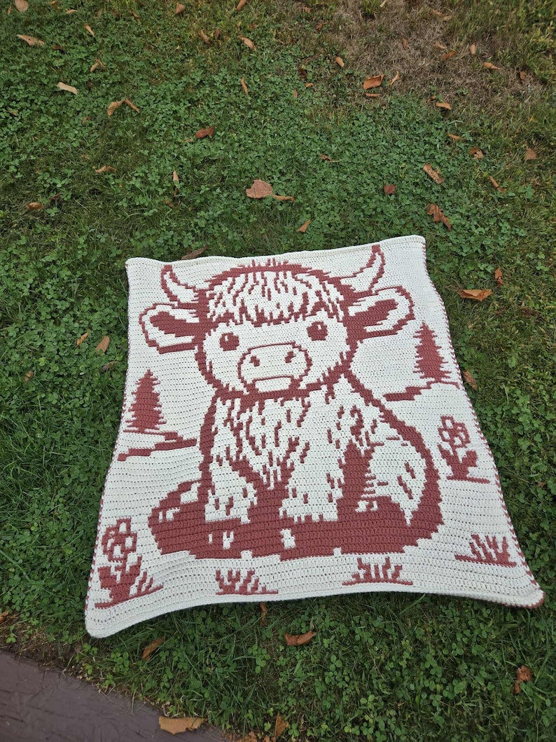 Overlay Mosaic Baby Blanket Crochet Pattern